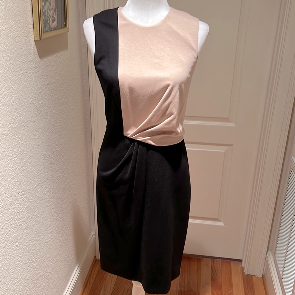 Jason Wu Dress with Black and Tan colors